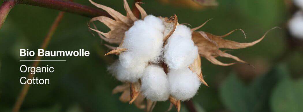 Bio Baumwolle - Alles über Bio Baumwolle